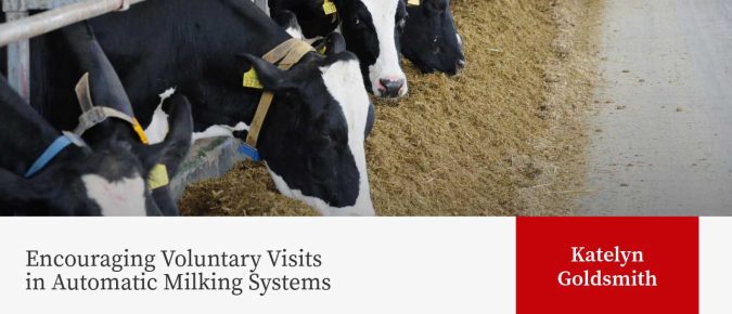 Encouraging Voluntary Visits in Automatic Milking Systems