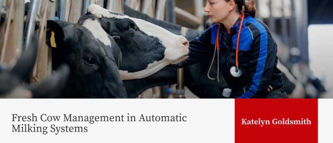 Fresh Cow Management in Automatic Milking Systems