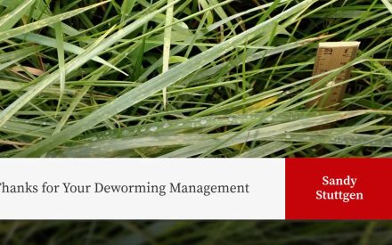 Grass blades with water droplets and measuring ruler. Text reads "Thanks for Your Deworming Management" with "Sandy Stuttgen" in red box.