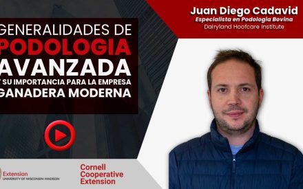 Promotional graphic for intensive feeding programs webinar (delivered in Spanish) featuring Juan Diego Cadavid from the Dairyland Hoofcare Institute.