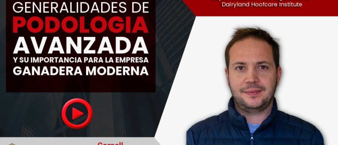 Generalidades de la podología bovina especializada