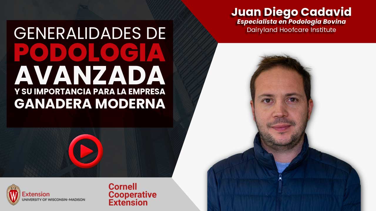 Generalidades de la podología bovina especializada