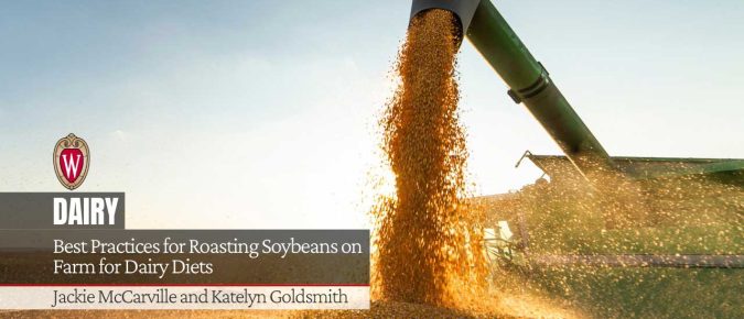 Best Practices for Roasting Soybeans on Farm for Dairy Diets