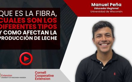 Educational video thumbnail about fiber types and milk production by Manuel Peña, Regional Educator, University of Wisconsin.