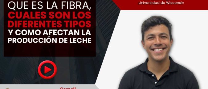 Fibra, diferentes tipos y efecto en producción lechera