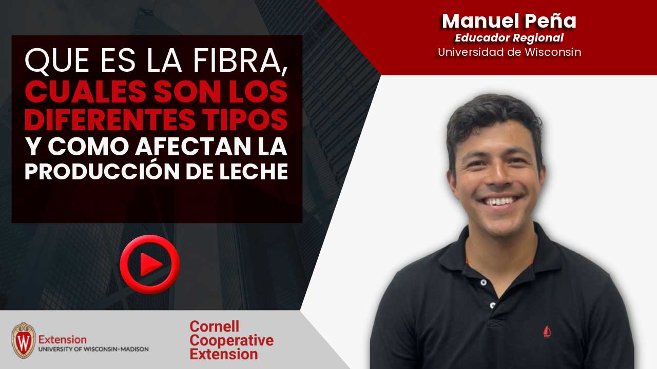 Fibra, diferentes tipos y efecto en producción lechera