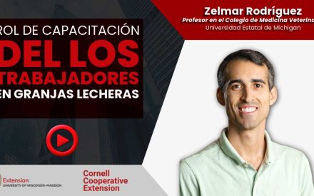 Video thumbnail with play button. Text: Rol de Capacitación del los Trabajadores en Granjas Lecheras. Speaker: Zelmar Rodríguez, Profesor en el Colegio de Medicina Veterinaria, Universidad Estatal de Michigan.
