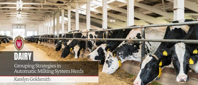 Grouping Strategies in Automatic Milking System Herds