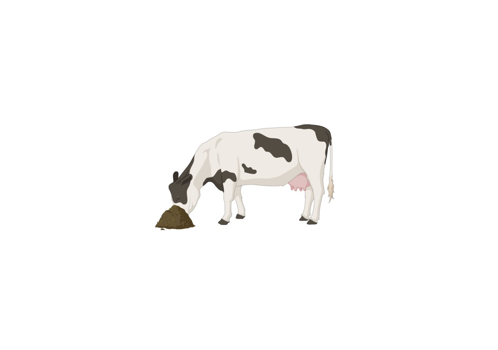 Illustration of a cow eating food.