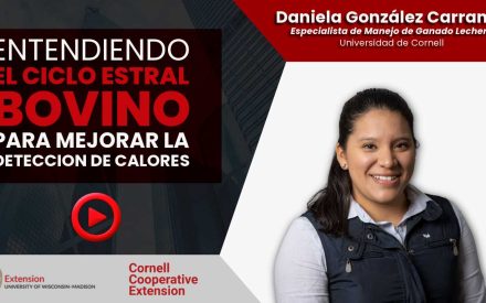 Daniela González Carranza presents on bovine estrous cycle for heat detection, Cornell and UW-Madison Extension logos.