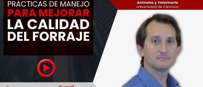 Prácticas de manejo para mejorar la calidad del forraje