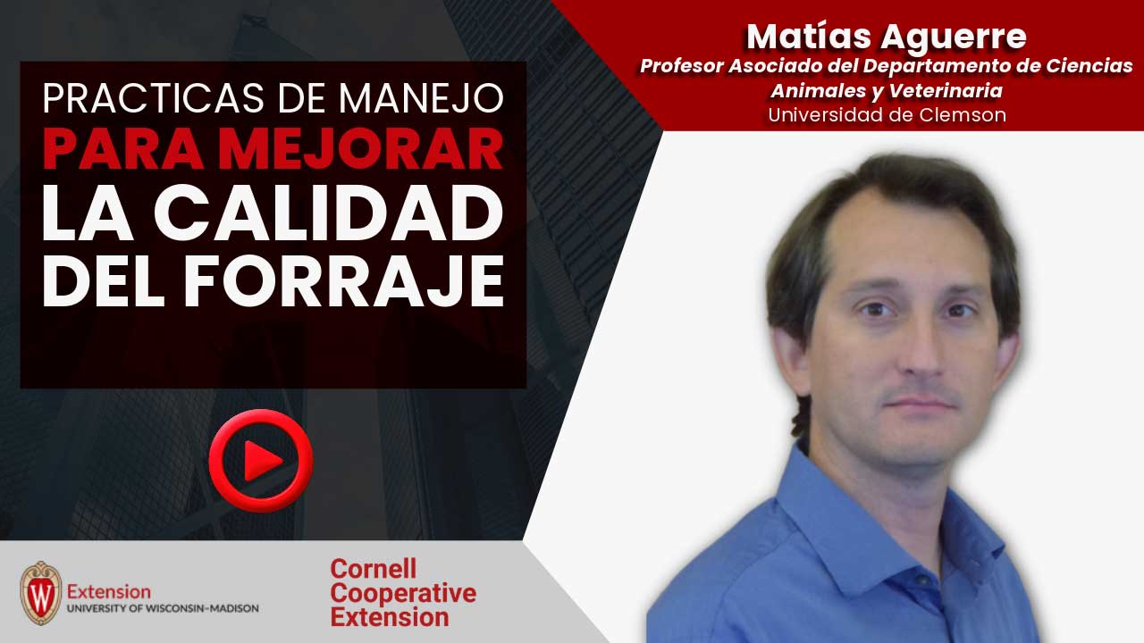 Prácticas de manejo para mejorar la calidad del forraje