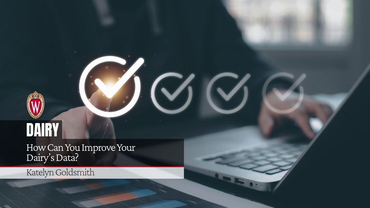 Hand pointing at illuminated checkmark icon above laptop. Text overlays include the UW-Madison "W" logo, "DAIRY" label, the heading "How Can You Improve Your Dairy's Data?" and presenter name "Katelyn Goldsmith" in a gray banner.