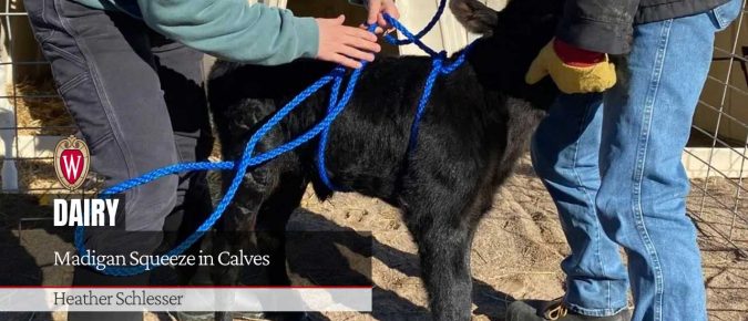 Madigan Squeeze in Calves