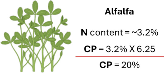 Alfalfa plant illustration with calculation showing N content = ~3.2%, CP = 3.2% X 6.25, CP = 20%.