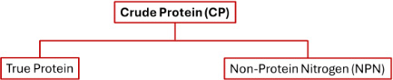 Diagram showing Crude Protein (CP) branches into True Protein and Non-Protein Nitrogen (NPN).