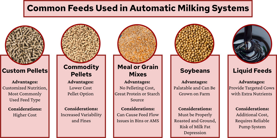 Common feeds used in automatic milking systems: custom pellets, commodity pellets, meal or grain mixes, soybeans, and liquid feeds.