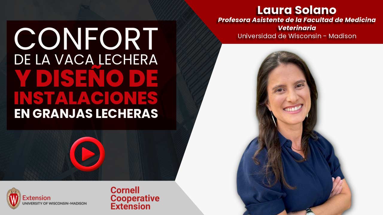 ▶️ Watch: Confort y diseño de instalaciones en granjas lecheras