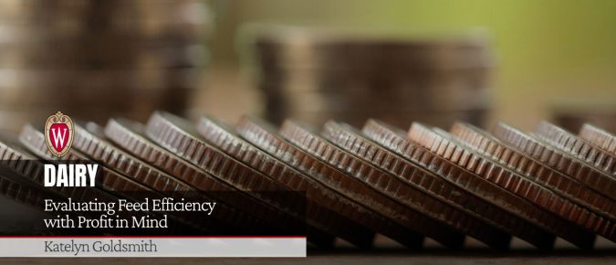 Evaluating Feed Efficiency with Profit in Mind