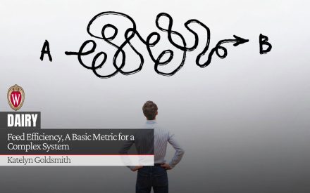 Person viewing tangled line from point A to B with text "DAIRY Feed Efficiency, A Basic Metric for a Complex System" and Author "Katelyn Goldsmith" and UW-Madison logo.