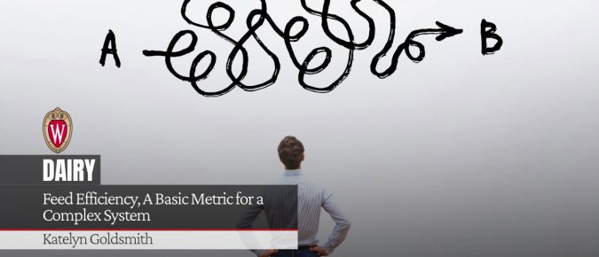 Feed Efficiency, A Basic Metric for a Complex System