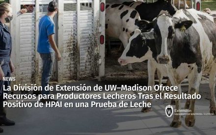 La División de Extensión de UW–Madison Ofrece Recursos para Productores Lecheros Tras el Resultado Positivo de HPAI en una Prueba de Leche
