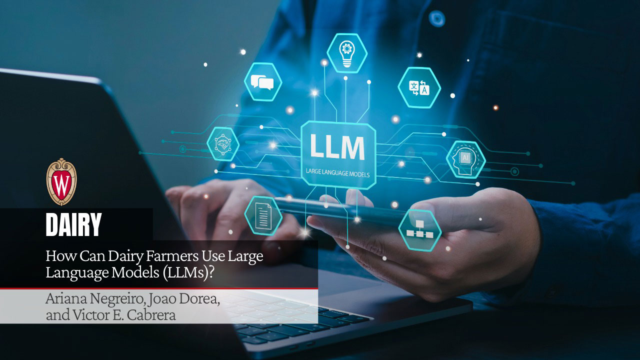 Visual concept of Large Language Models with icons and interactions. Article titled "How Can Dairy Farmers Use Large Language Models (LLMs)?" by Ariana Negreiro, Joao Dorea, and Victor E. Cabrera with UW-Madison logo.