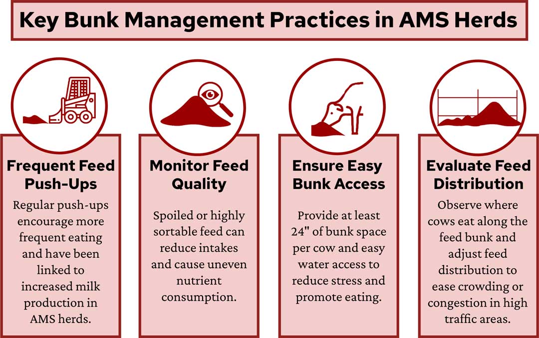 Key bunk management practices in AMS herds: frequent feed push-ups, monitor feed quality, ensure easy bunk access, and evaluate feed distribution.