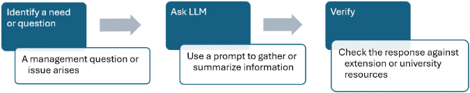 Flowchart showing three-step process: Identify a need or question, Ask LLM, and Verify.