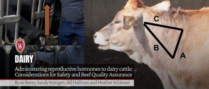 Administering reproductive hormones to dairy cattle: Considerations for Safety and Beef Quality Assurance