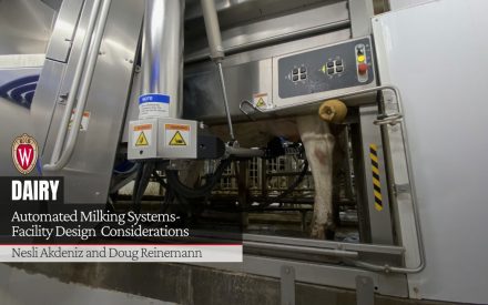 Automated milking system robot equipment in dairy facility. University of Wisconsin logo. "Automated Milking Systems-Facility Design Considerations" by Nesli Akdeniz and Doug Reinemann.