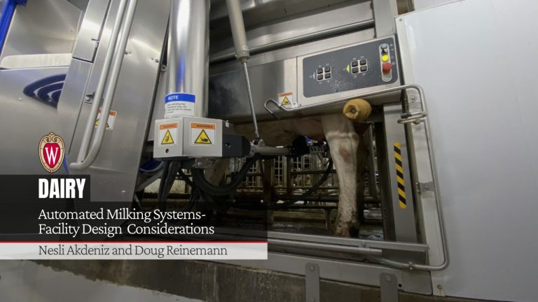 Automated Milking Systems- Facility Design Considerations – Dairy
