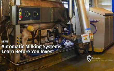 Automatic Milking Systems: Learn Before You Invest