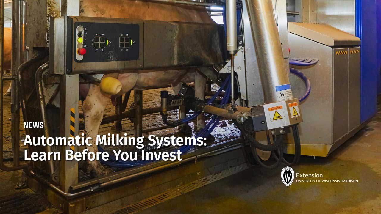 Robotic milking machine with cow being milked. Text reads: "NEWS Automatic Milking Systems: Learn Before You Invest" with Extension University of Wisconsin-Madison logo.