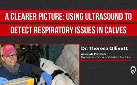 ▶️ Watch: A Clearer Picture: Using Ultrasound to Detect Calf Respiratory Issues