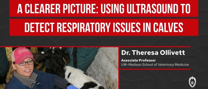 ▶️ Watch: A Clearer Picture: Using Ultrasound to Detect Calf Respiratory Issues