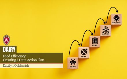 Wooden blocks showing progression from Vision to Success. University of Wisconsin logo. "Feed Efficiency: Creating a Data Action Plan" by Katelyn Goldsmith.