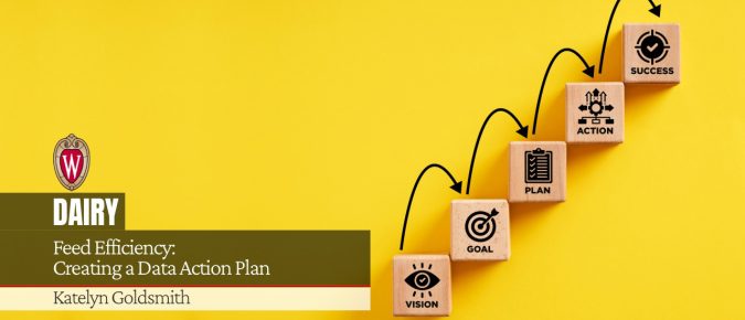 Feed Efficiency: Creating a Data Action Plan