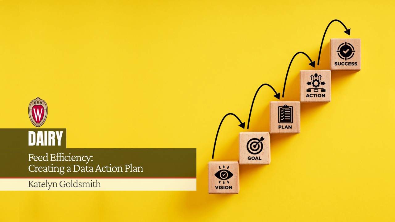 Wooden blocks showing progression from Vision to Success. University of Wisconsin logo. "Feed Efficiency: Creating a Data Action Plan" by Katelyn Goldsmith.