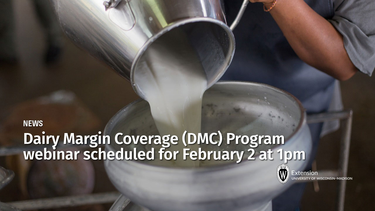 Person pouring milk into metal container. Text: "Dairy Margin Coverage (DMC) Program webinar scheduled for February 2 at 1pm". UW-Madison Extension logo.