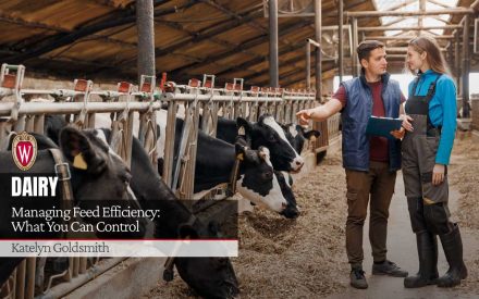 Two people discussing dairy operations in barn with Holstein cows. University of Wisconsin logo. "Managing Feed Efficiency: What You Can Control" by Katelyn Goldsmith.