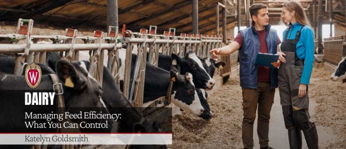 Managing Feed Efficiency: What You Can Control