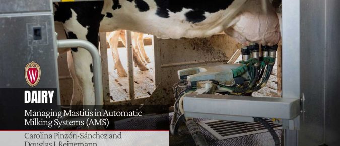 Managing Mastitis in Automatic Milking Systems (AMS)