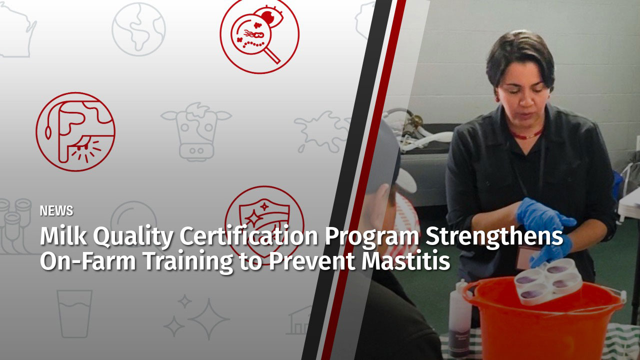 Dairy educator in blue gloves demonstrates during a certification workshop. News: "Milk Quality Certification Program Strengthens On-Farm Training to Prevent Mastitis."