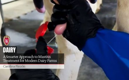 A Smarter Approach to Mastitis Treatment for Modern Dairy Farms