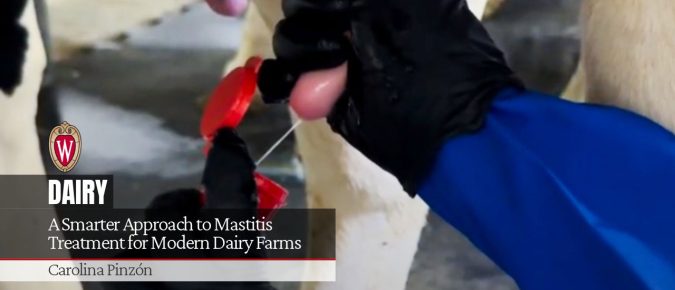 A Smarter Approach to Mastitis Treatment for Modern Dairy Farms