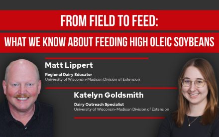 Matt Lippert and Katelyn Goldsmith present "From Field to Feed: What We Know About Feeding High Oleic Soybeans" for UW-Madison Extension.