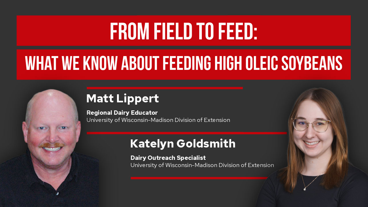 ▶️ Watch: From Field to Feed: What We Know about Feeding High Oleic Soybeans
