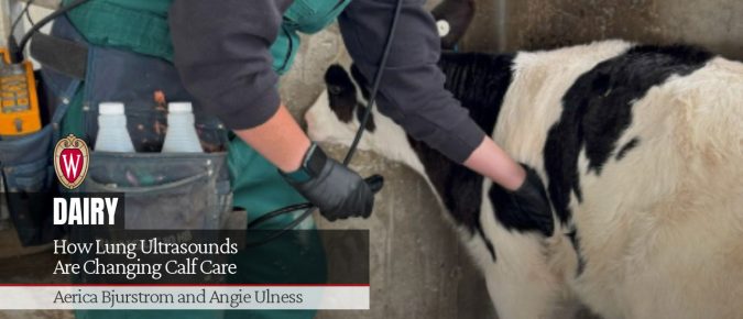 How Lung Ultrasounds Are Changing Calf Care