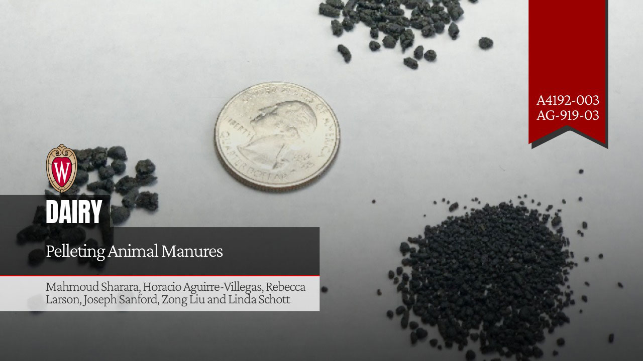 Cover image for "Pelleting Animal Manures," a UW-Madison Dairy extension publication by Mahmoud Sharara et al., showing manure pellets beside a quarter.